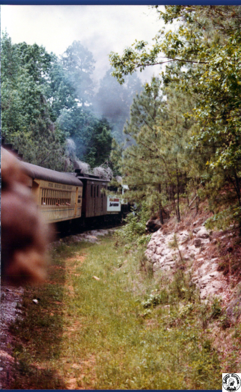 1980 05 01 12 Atlanta GA trip-Stone Mtn visit picnic.jpg
